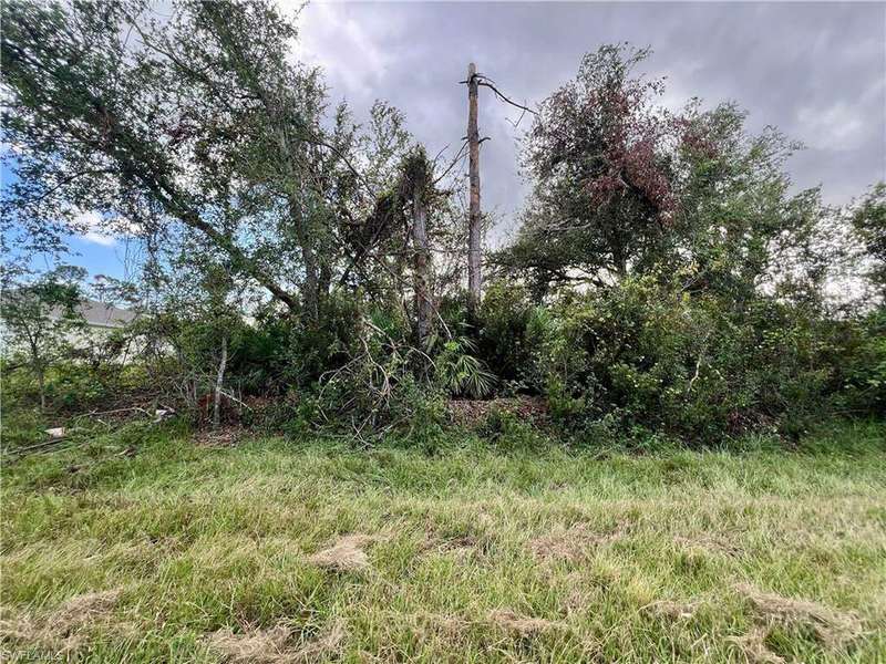 View of local wilderness