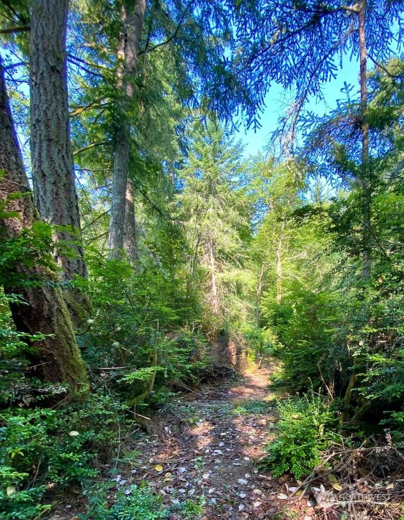 Sun & Trees. A trail loops through the western half of the land and gives a good sense of the topography of the land.