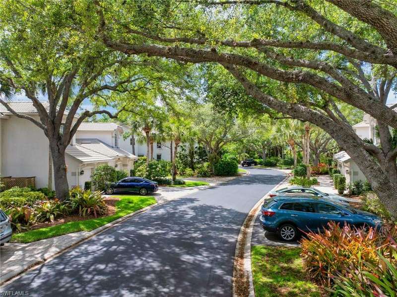 View of tree-lined street