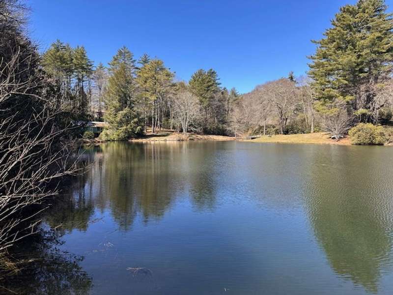 View from lot looking over pond.