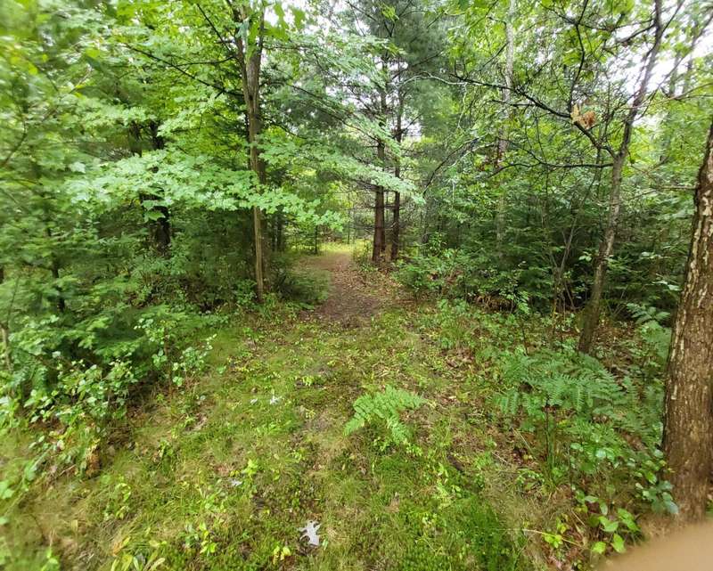 Path to back acreage