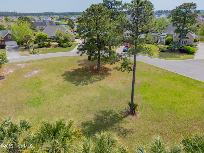 1007 Natural Springs Way