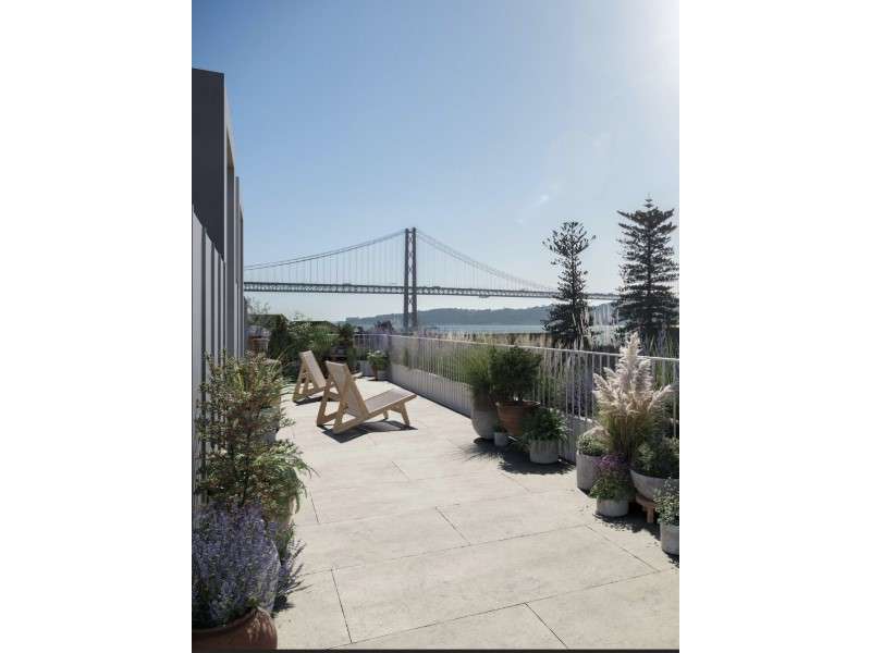 Screenshot 2025-08-20 at 18.37.52