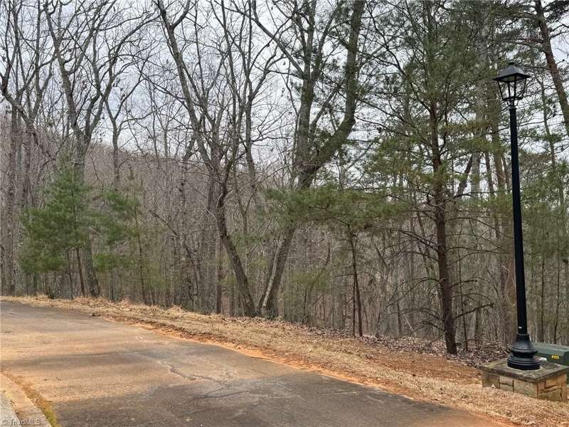 Lot 295 in cul-de-sac w/fireplace gathering across rod