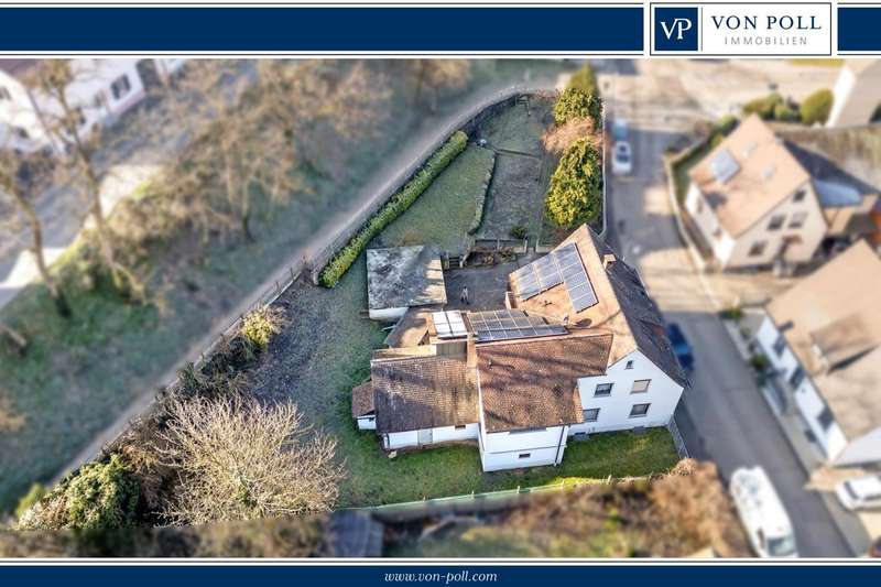 VonPollNeuenburg-Wolf-03 (1)