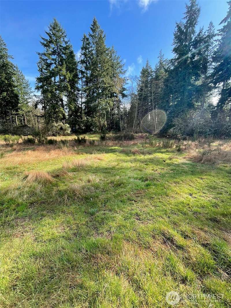 Sun dappled pastoral meadow is just the start to all this 12+ acre parcel offers.