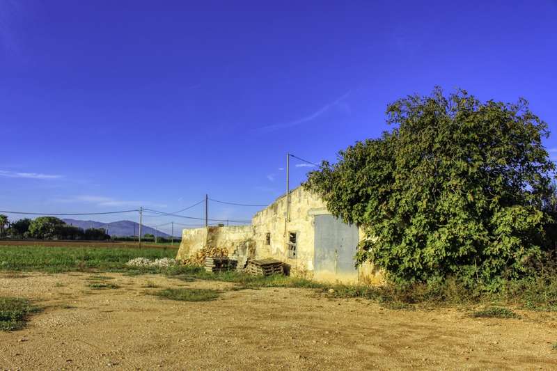 Gran-parcela-con-electricidad-y-agua-para-construir-en-Sa-Pobla-Mallorca