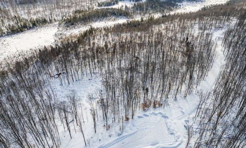 Land/Lot