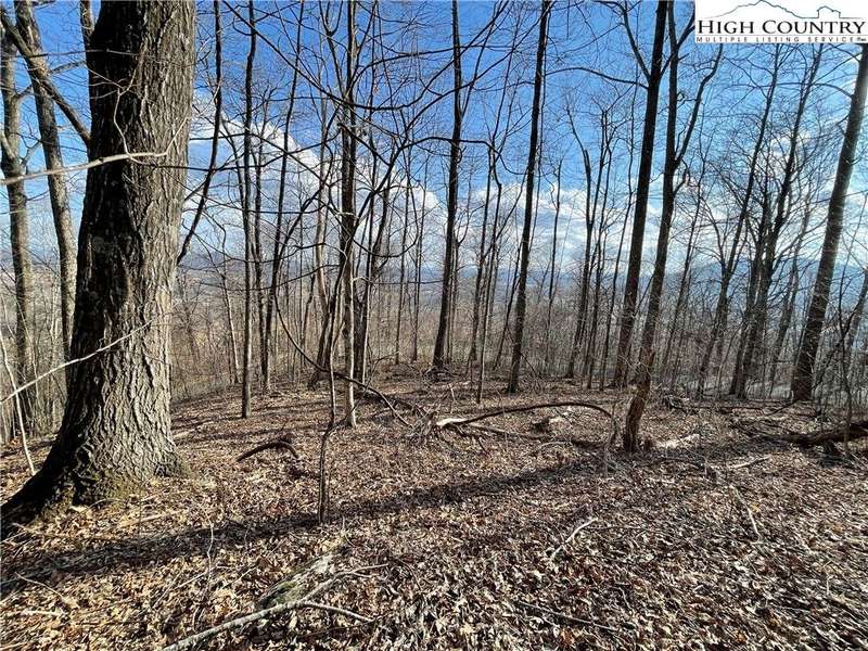 180 degree views facing South.