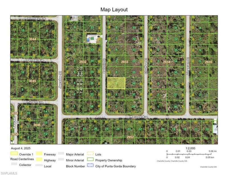 View of local wilderness