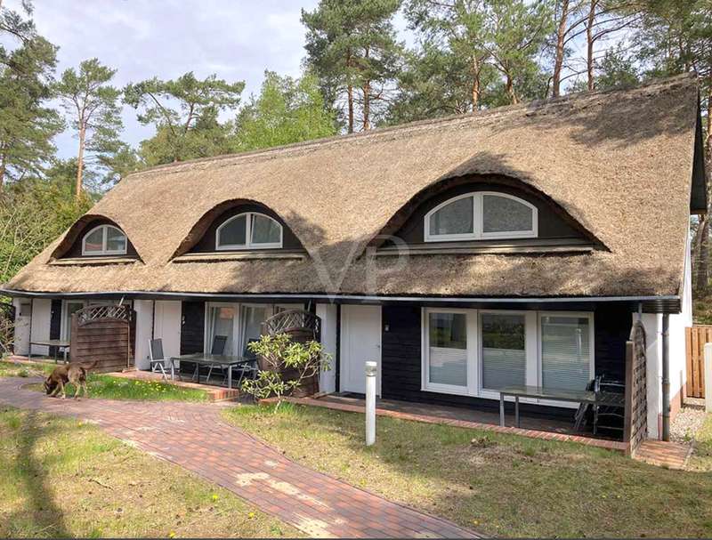 Reetdachhaus VP