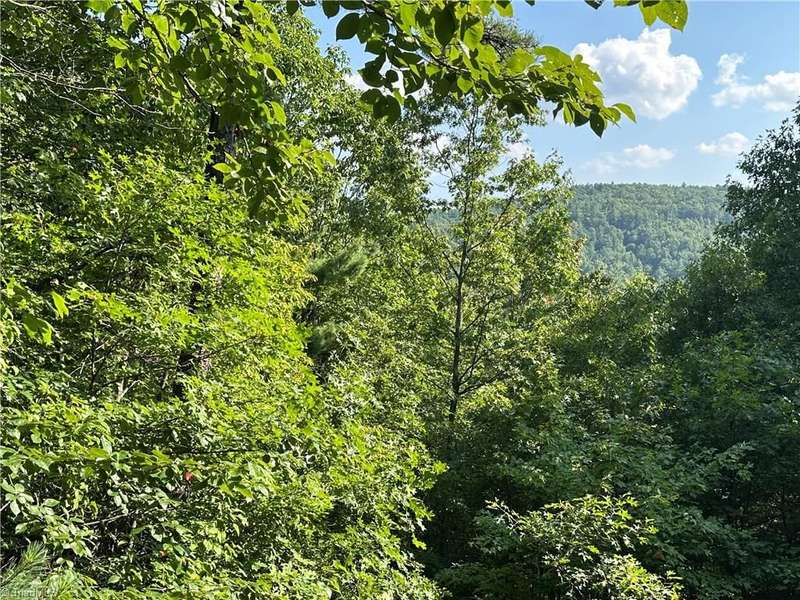 Big potential mountain views  to the back of the lot