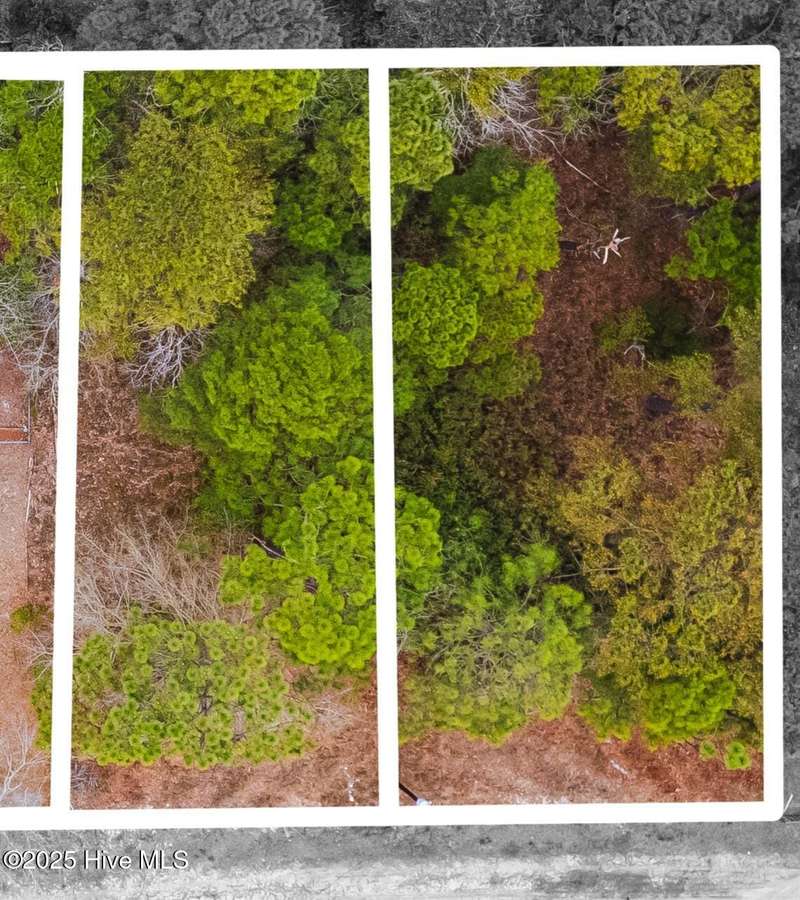 2862 and 2868 Bird Dr, Shallotte