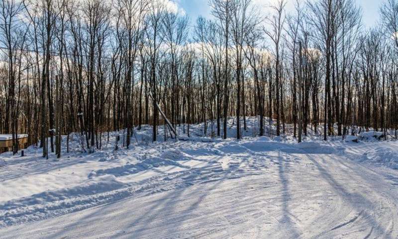Land/Lot