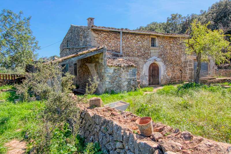 Preciosa finca rústica en venta con casa tradicional para reformar, bien situada cerca de Pollença
