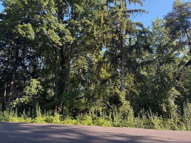 Lot frontage on Catherine