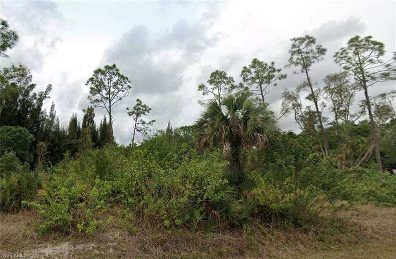 View of landscape with a forest view