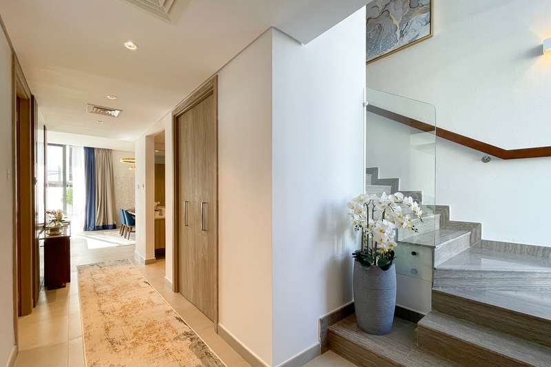 images image img