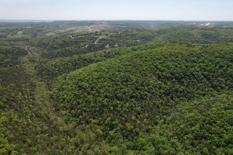 Carleton (43)