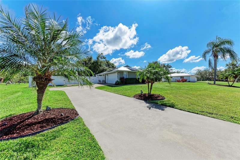 Front elevation with palm trees