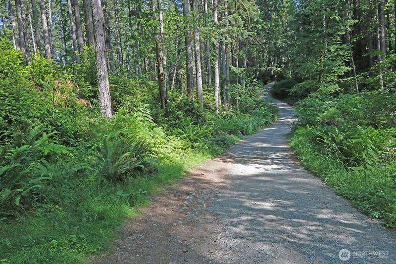 Over 12 flat acres ready for your dream home, septic, and well. The perfect blank canvas on Vashon!