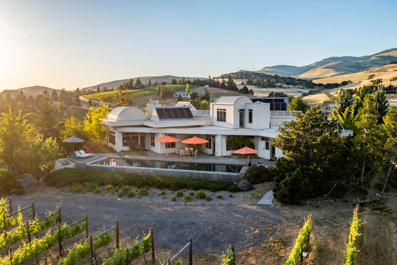 Paradox Vineyard Estate