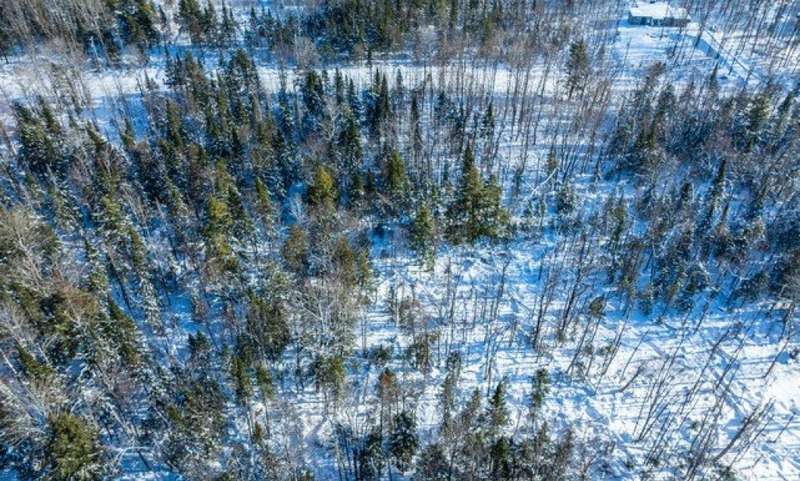 Land/Lot
