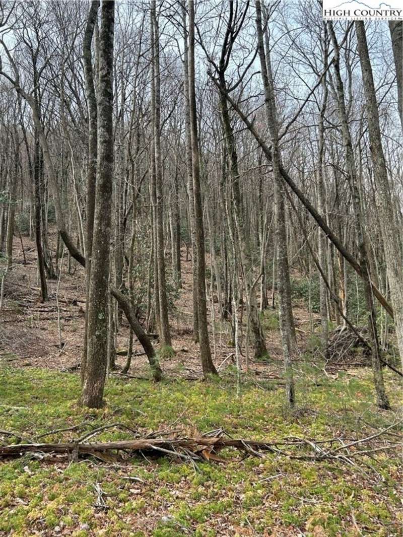 Lot view