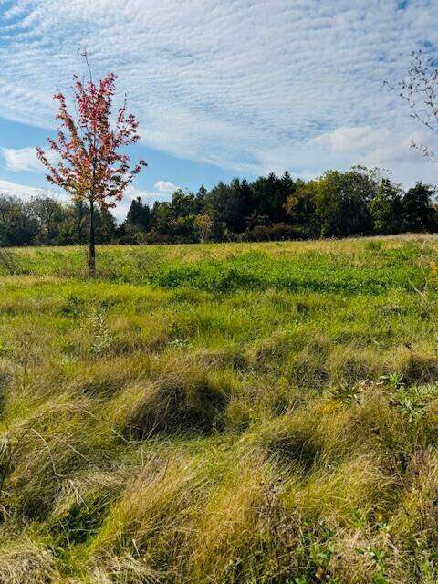 Lot 6 1