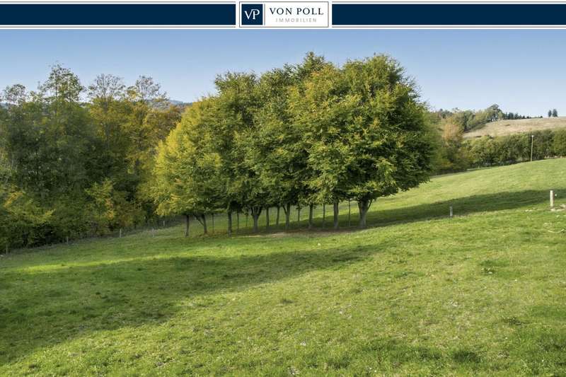 Ansicht 1 VPI