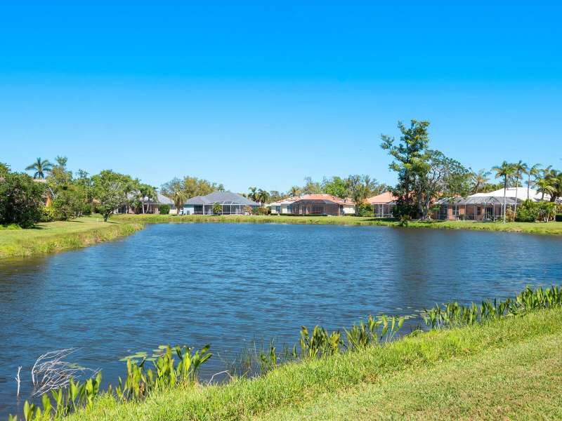 Lake view