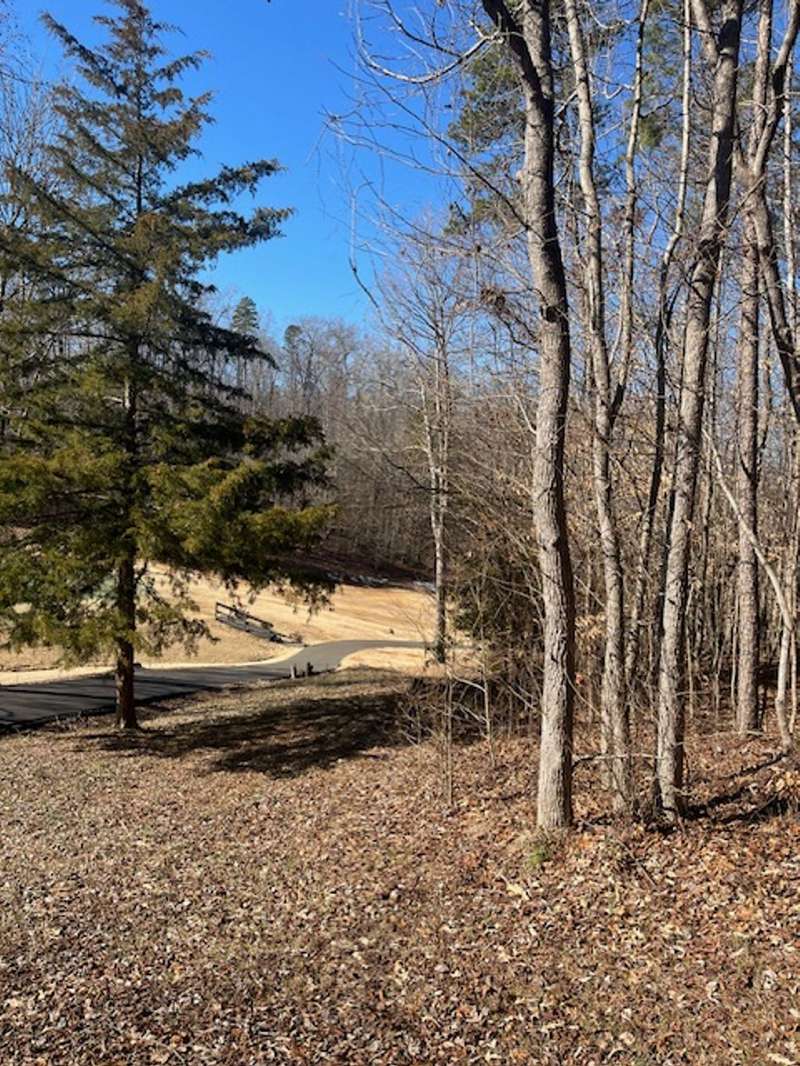 Lot looking to golf course