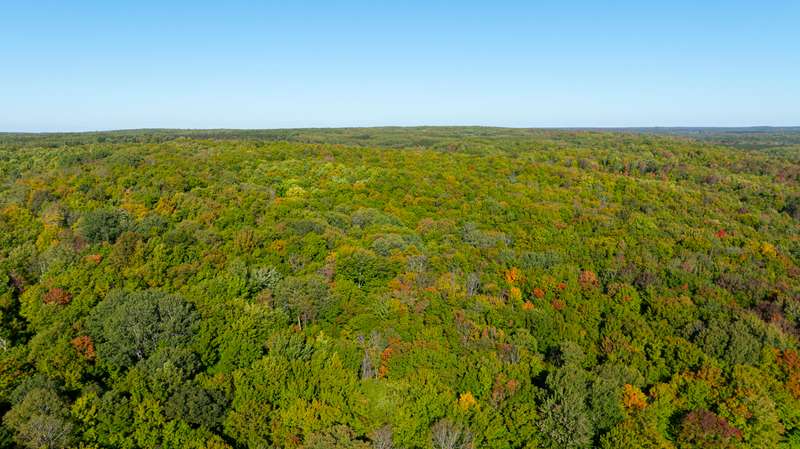 wooded acreage