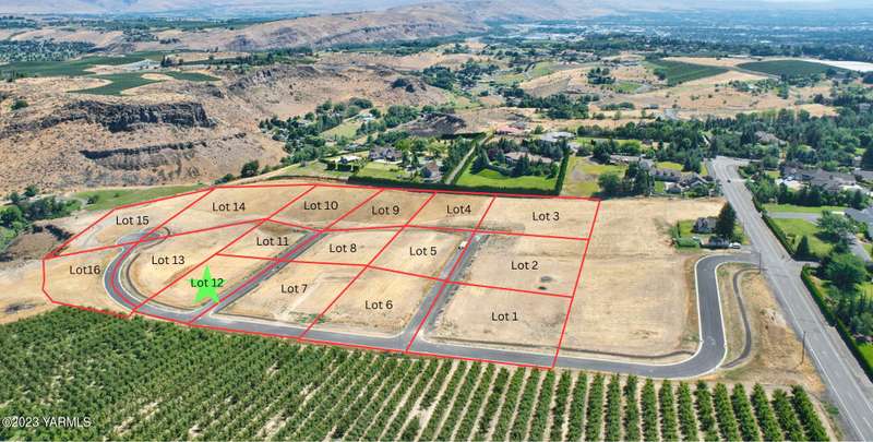 Lot 12