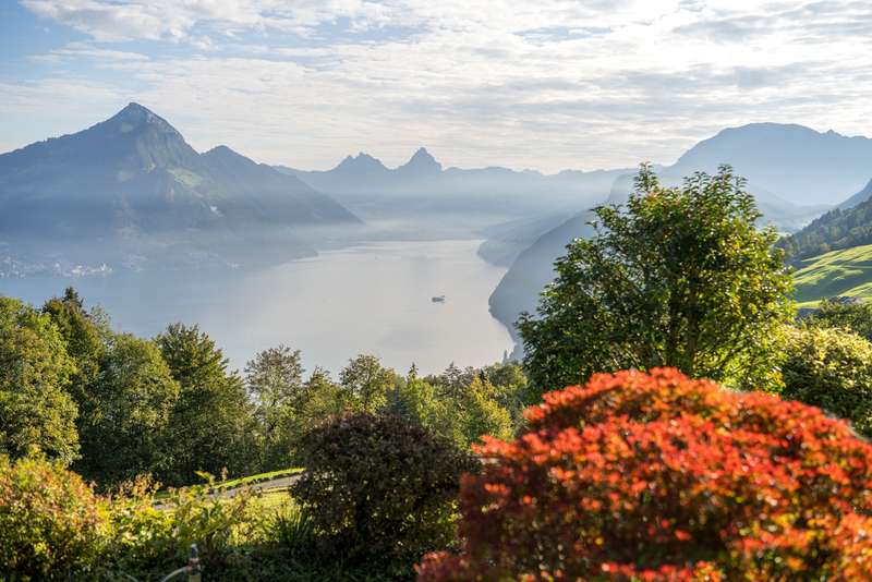 Panorama