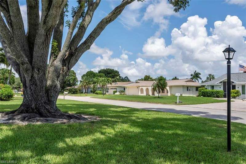 Beautiful mature trees in the neighborhood