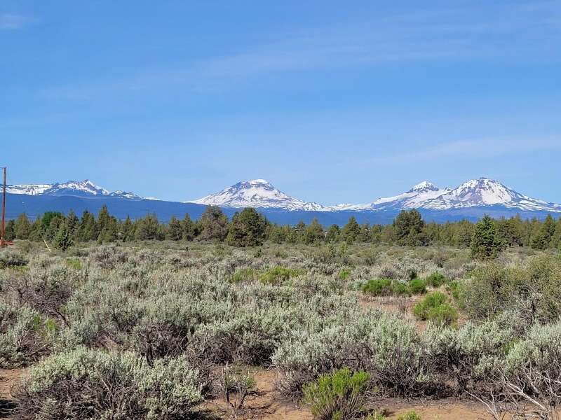 Cascade Mountain Views