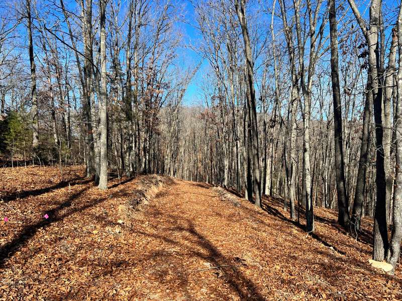 The road to your future home