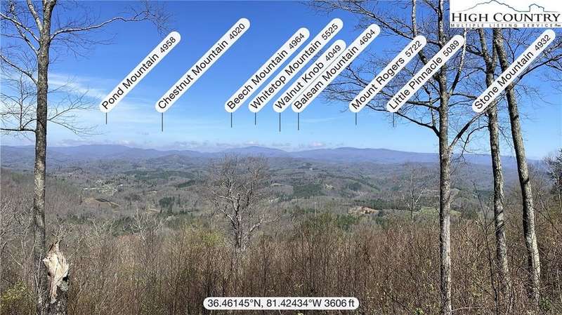Whitetop and Mount Rogers in VA in view.