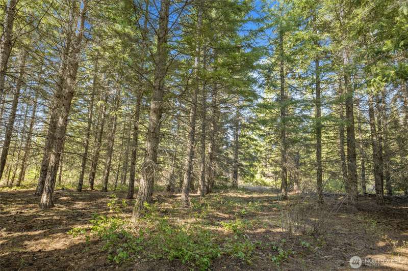 Welcome to 61 Morning Star!