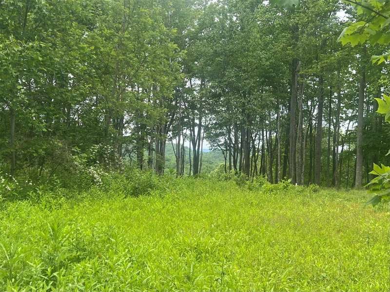 Flat cleared area on lot