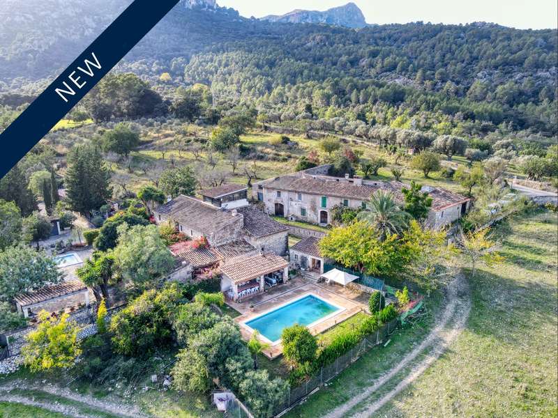 POSESION-POLLENSA-FINCA-POOL-BLICK