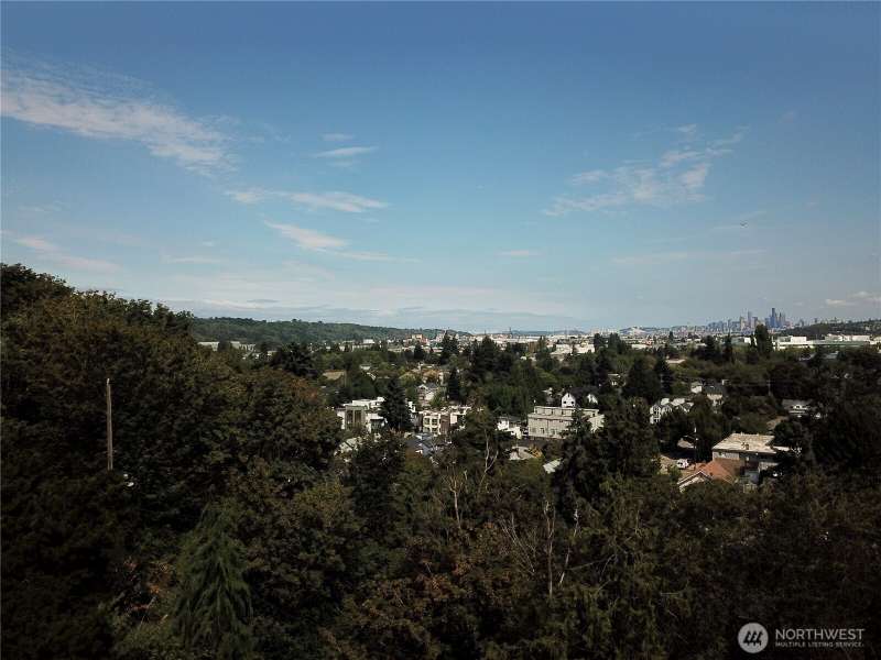 Photos above the Trees