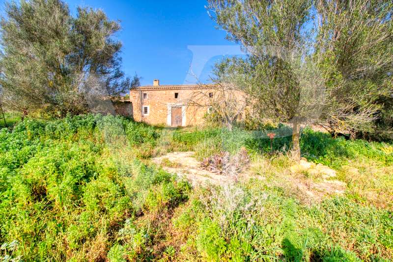 Precioso casa rústica para reformar en parcela de 3,8 hectáreas entre Manacor y Calas de Mallorca