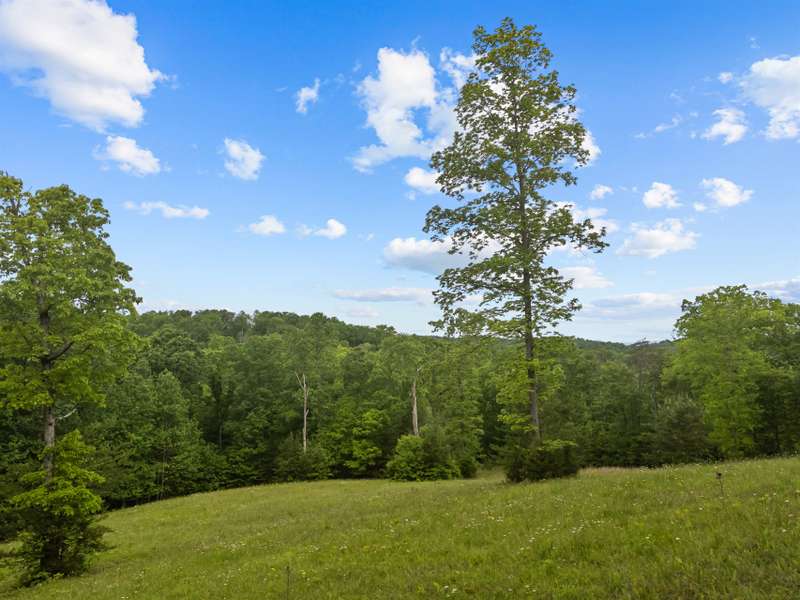 Land for horses, ATV's, Dirt Bikes and more.